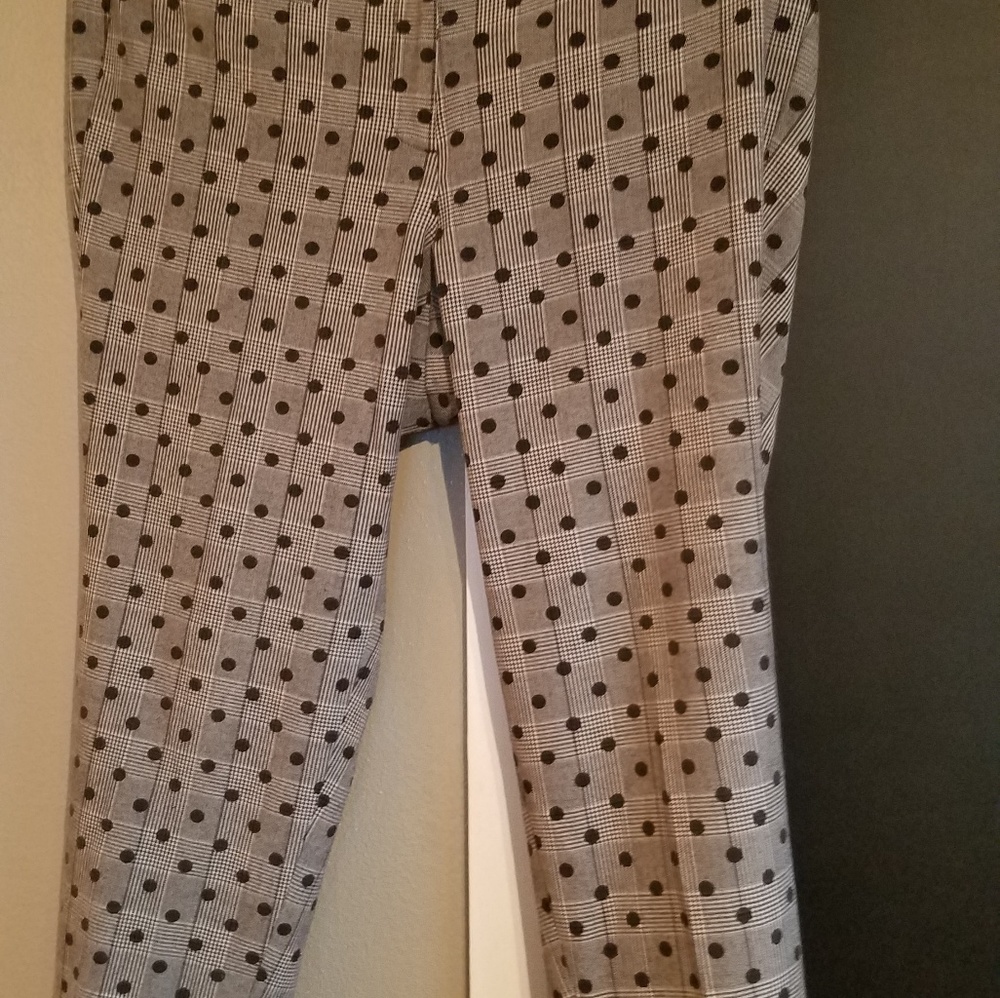 Lane Bryant Slacks 16W